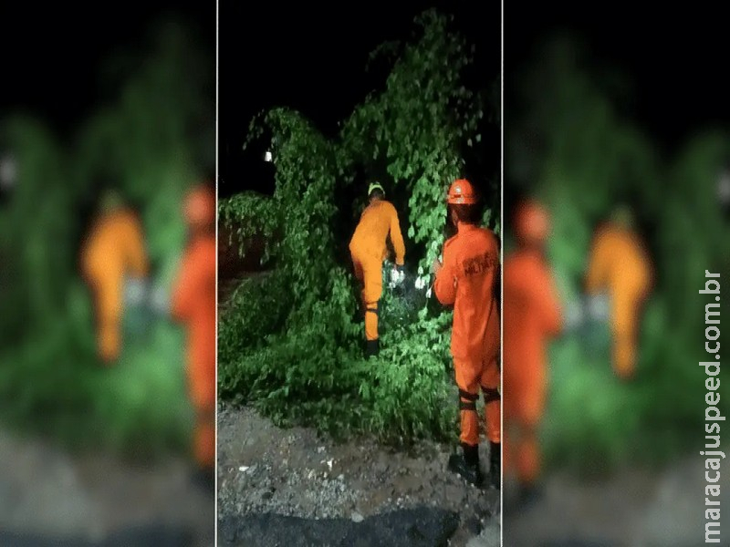 Temporal na madrugada derruba árvores e atinge carro em Corumbá e Ladário