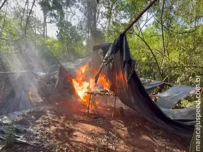 Três acampamentos são queimados com 1,8 tonelada de maconha