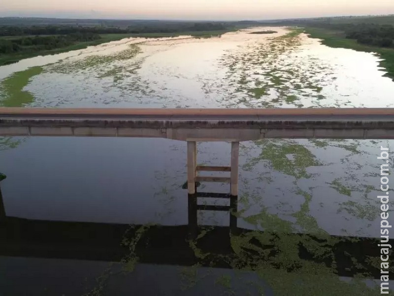 Usina suspende vertimento das plantas geradas pela poluição da celulose