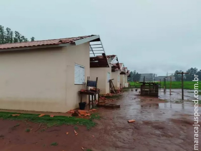 Ventania danifica casas, escola e derruba árvore em Caarapó