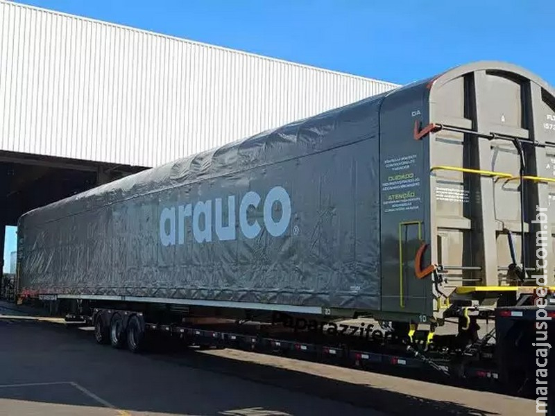Arauco obtém registro que protege transporte de celulose até Santos