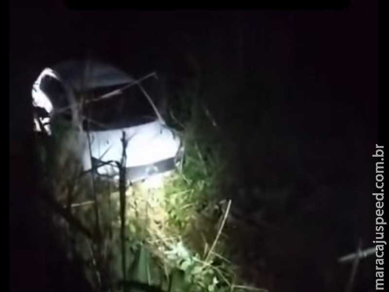 Atropelamento de tamanduá faz carro sair da pista e deixa dois feridos