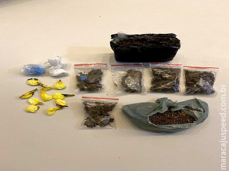 Força Tática prende homem por tráfico de drogas ligado a facção em Rio Brilhante