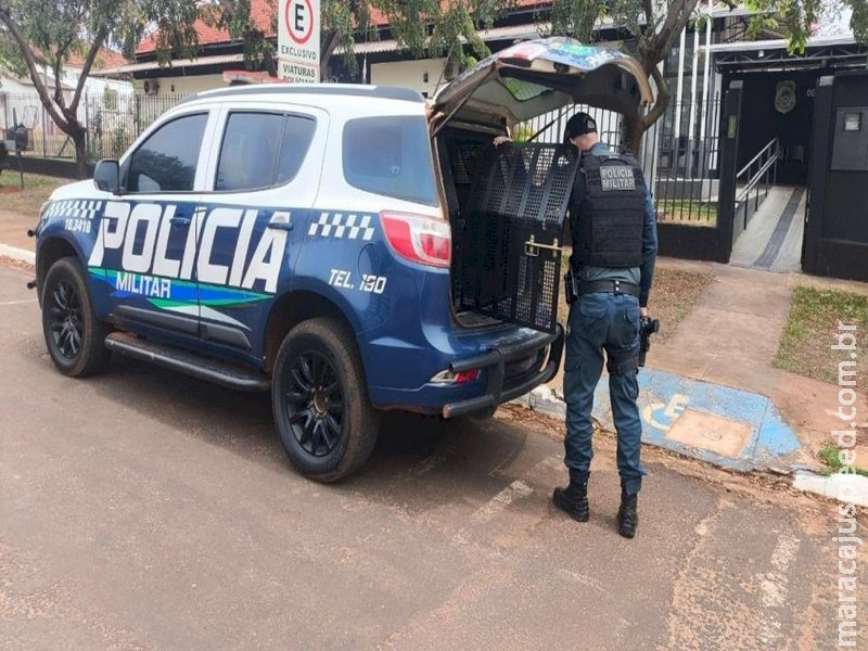 Ivinhema: Polícia prende homem por furto e recupera equipamento industrial 