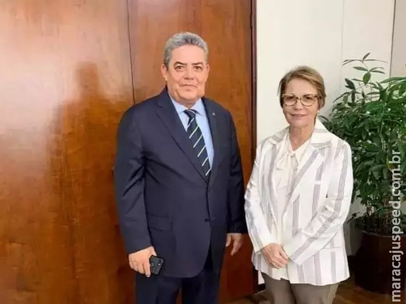 Nem com nome de senadora na urna, Santullo conquista cadeira na Assembleia