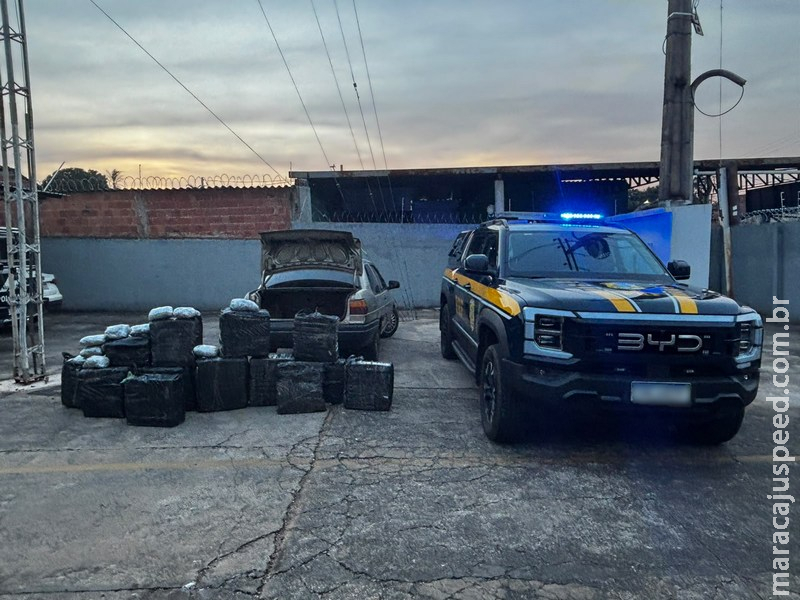 PRF apreende 426 kg de maconha e haxixe após fuga na BR-158 em Paranaíba