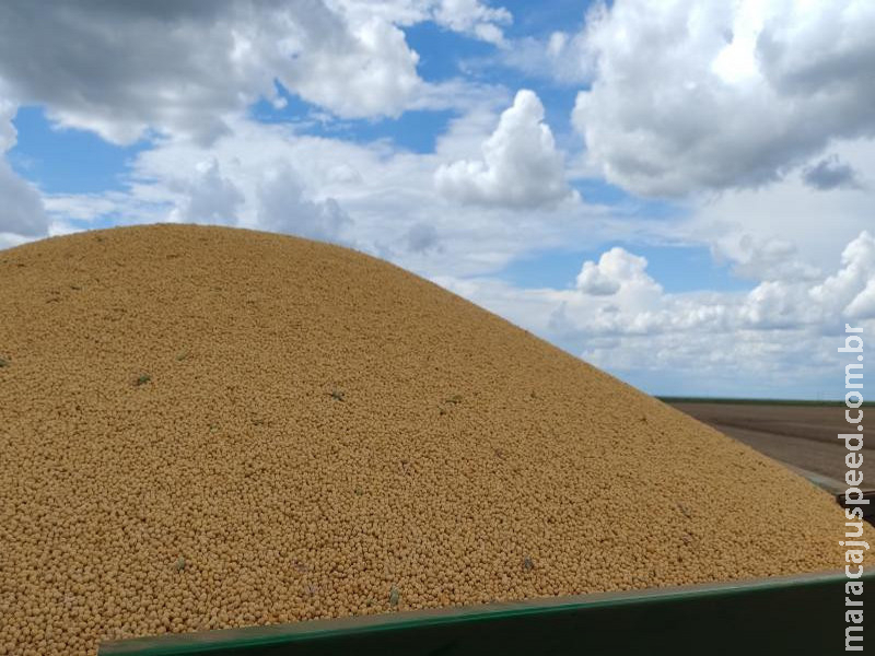 Produtor de soja pode receber menos com novas regras tributárias