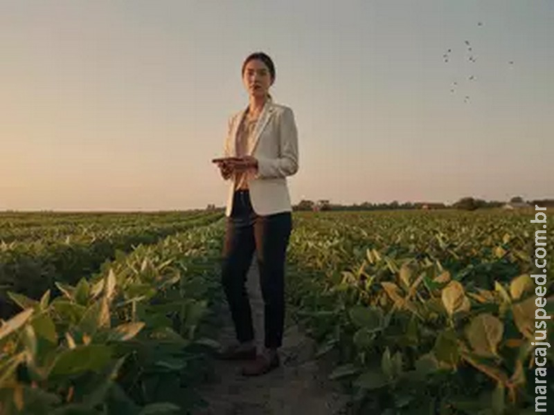 Reforma Tributária transforma oportunidades no agro.