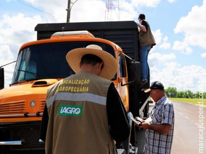 Seminário vai discutir combate ao uso de agrotóxicos ilegais